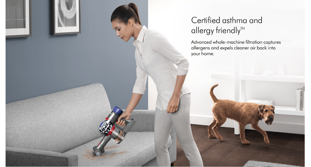 Dyson V8 Animal+ Cordless Vacuum Cleaner Calverts Online